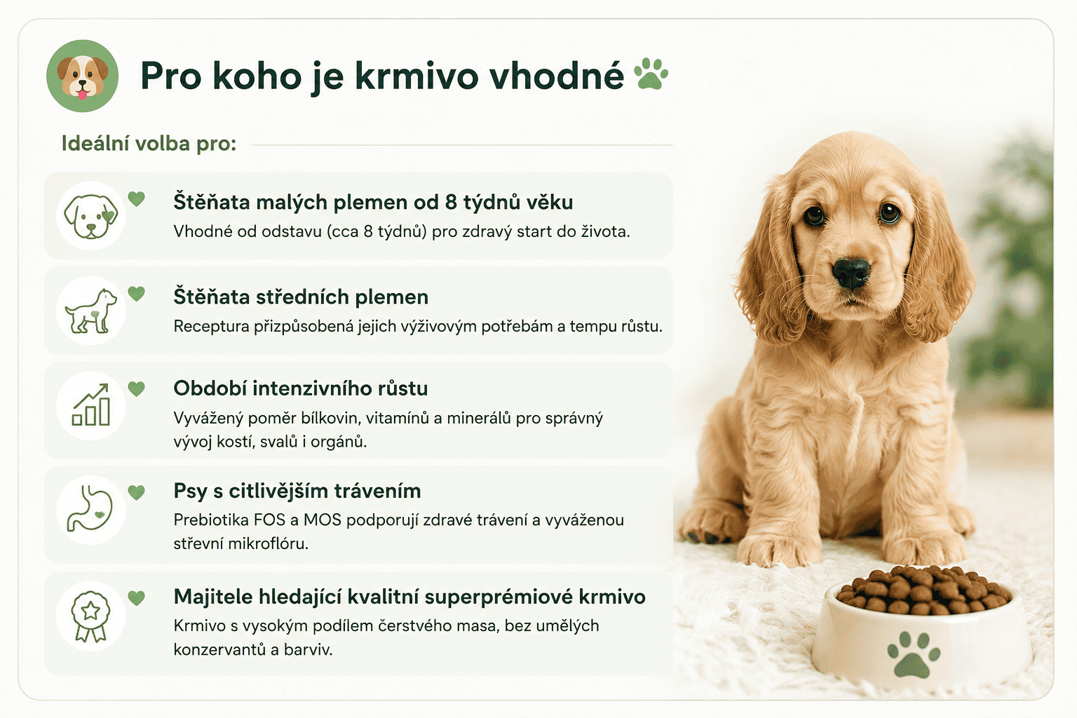 Arden Grange Puppy Junior kuře pro koho je vhodné